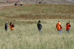 Pheasant-coming-straight-at-the-hunters-wendell-gohn-william-wahlstrom-jeff-moore-jerry-shields-brenna-cutler-